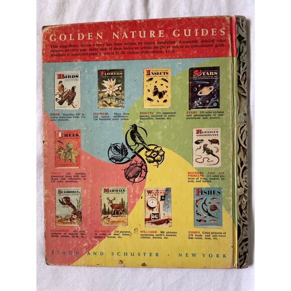 Vintage Little Golden Books Set Of 10 Including Frosty Peter Pan Sleeping Beauty - Picture 12 of 16